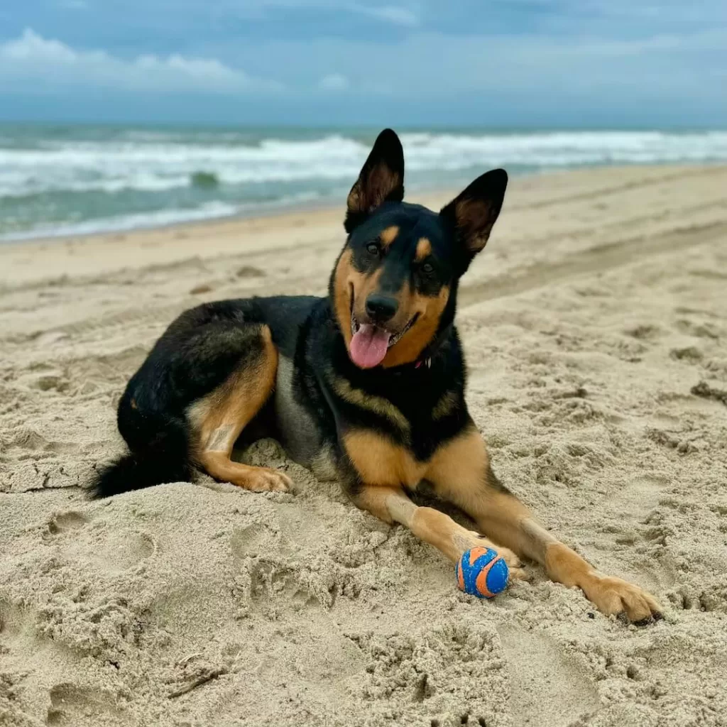On the beach