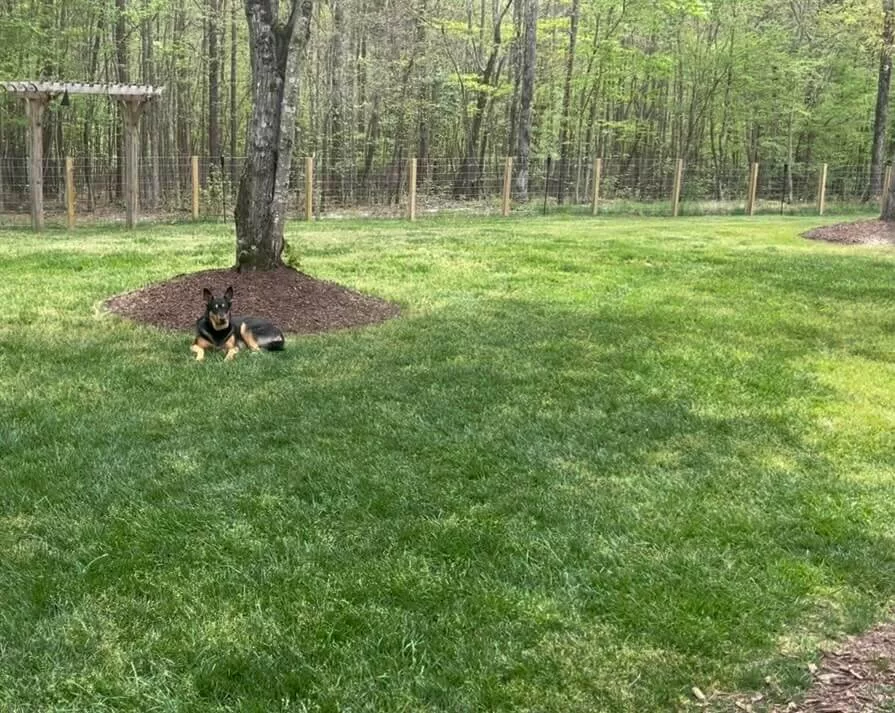 Frame 15 10 2025 01 11 28